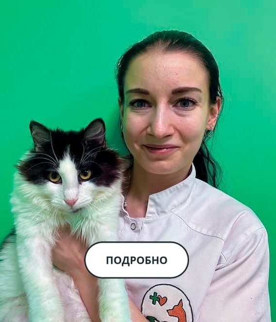 Специалист Лапа Помощи Жирина А. Д.